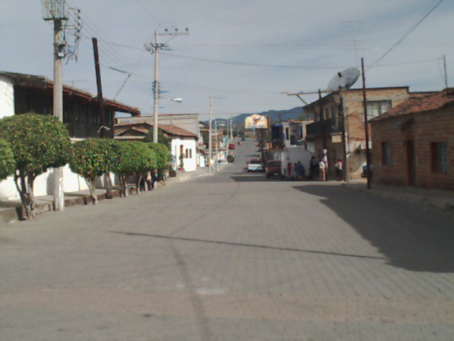 jan0509.jpg